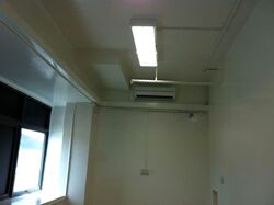 Vertex (D14), Factory #558934971